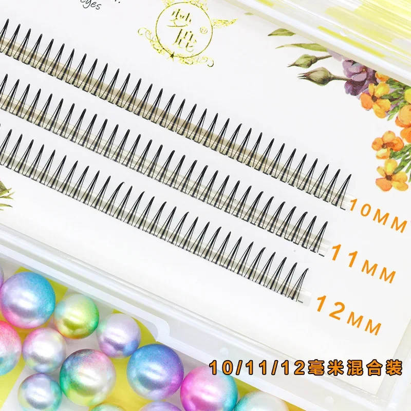 Dream Deer A/M Type A False Ey - đánh giá và giá Eyelash Extension Korean